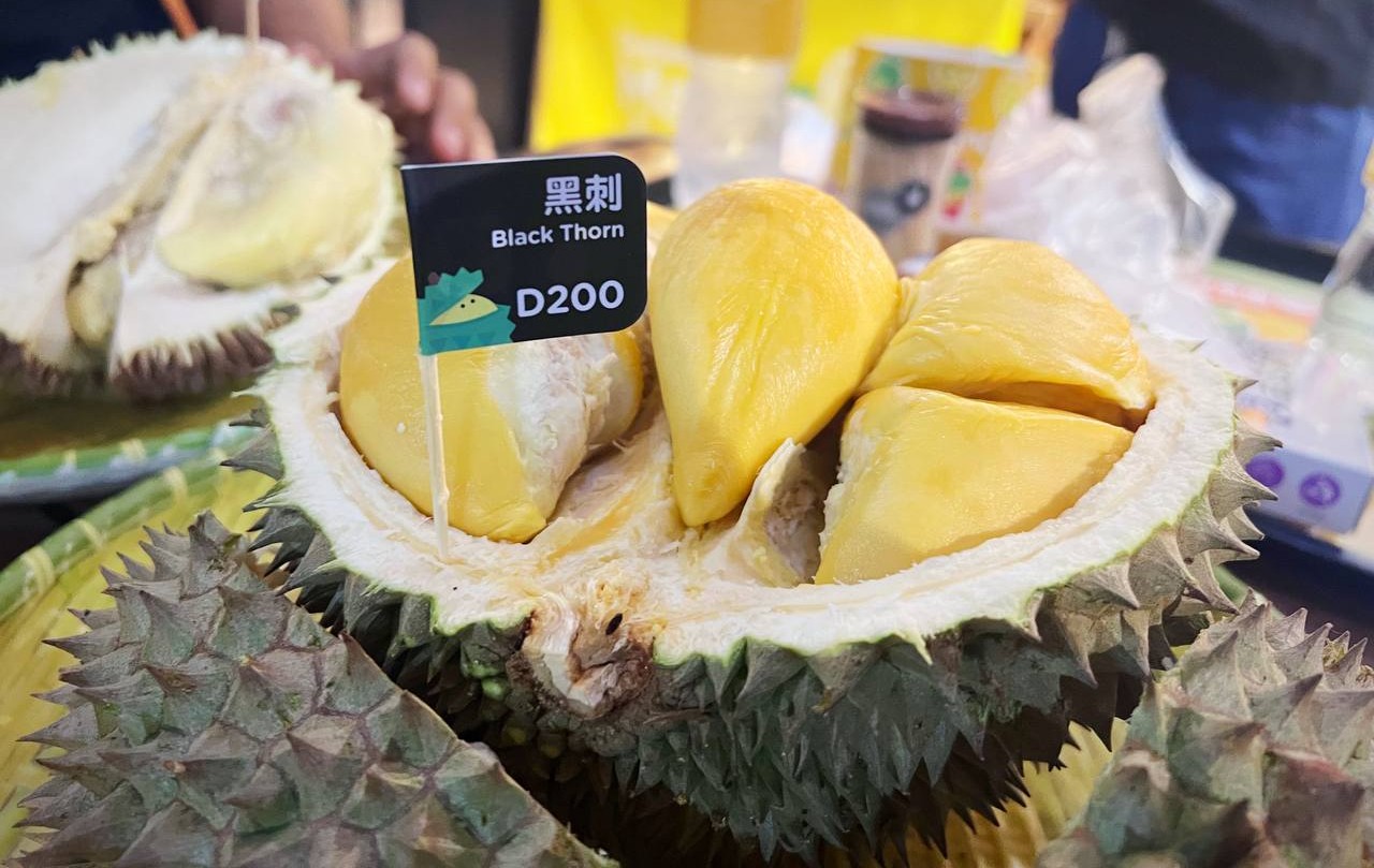 Cybersecurity in Musang King